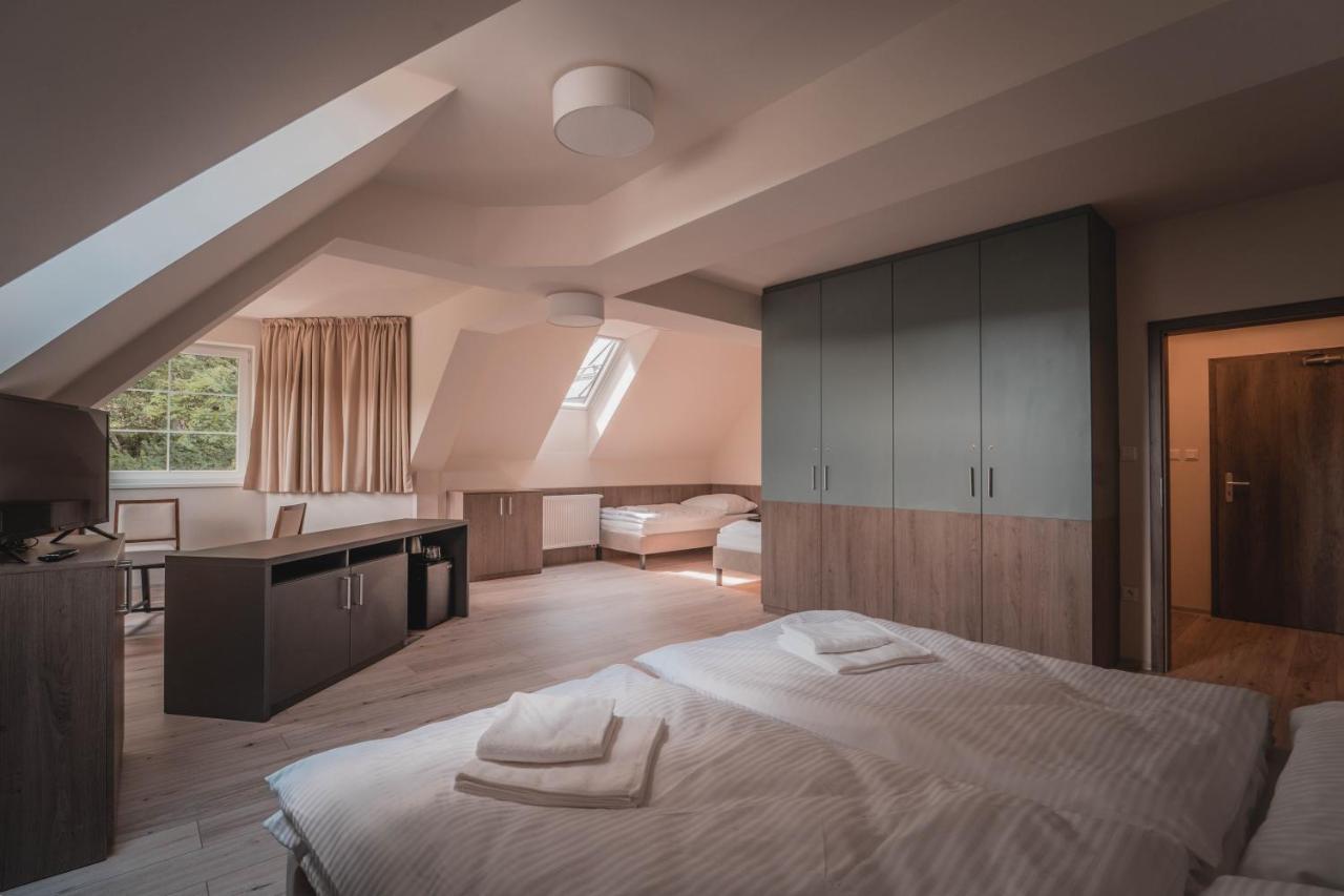 Wellness Penzion Smerdzonka - Kupele Pieniny Червены-Клаштор Экстерьер фото