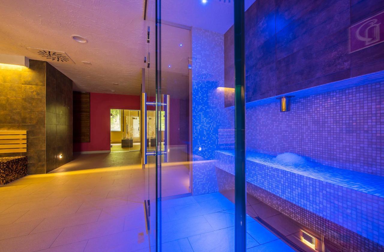 Wellness Penzion Smerdzonka - Kupele Pieniny Червены-Клаштор Экстерьер фото